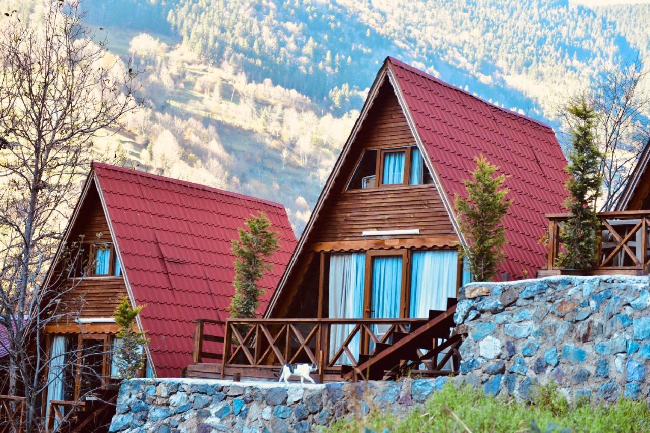 The Wooden House Uzungoel Uzungöl Luaran gambar