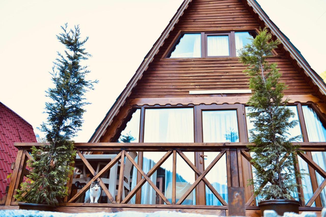 The Wooden House Uzungoel Uzungöl Luaran gambar